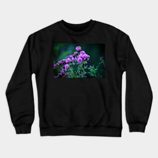 Thistle in full bloom. Crewneck Sweatshirt